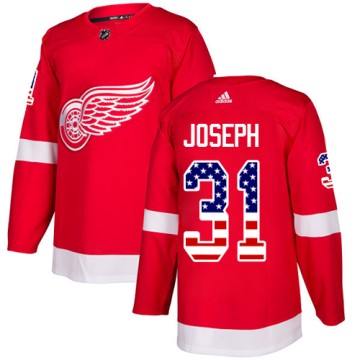 Authentic Adidas Youth Curtis Joseph Detroit Red Wings USA Flag Fashion Jersey - Red