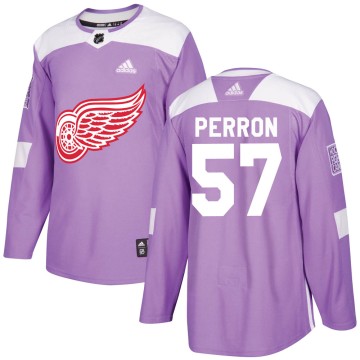 Authentic Adidas Youth David Perron Detroit Red Wings Hockey Fights Cancer Practice Jersey - Purple