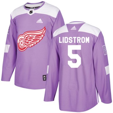 Authentic Adidas Youth Nicklas Lidstrom Detroit Red Wings Hockey Fights Cancer Practice Jersey - Purple