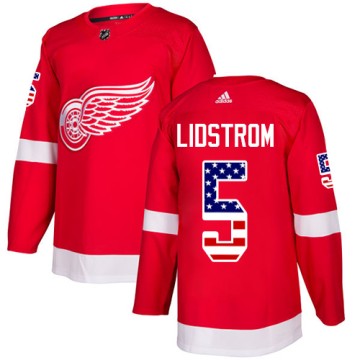 Authentic Adidas Youth Nicklas Lidstrom Detroit Red Wings USA Flag Fashion Jersey - Red
