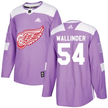Authentic Adidas Youth William Wallinder Detroit Red Wings Hockey Fights Cancer Practice Jersey - Purple