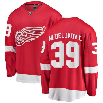 Breakaway Fanatics Branded Men's Alex Nedeljkovic Detroit Red Wings Home Jersey - Red