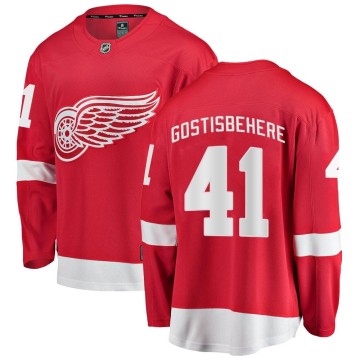 Breakaway Fanatics Branded Youth Shayne Gostisbehere Detroit Red Wings Home Jersey - Red
