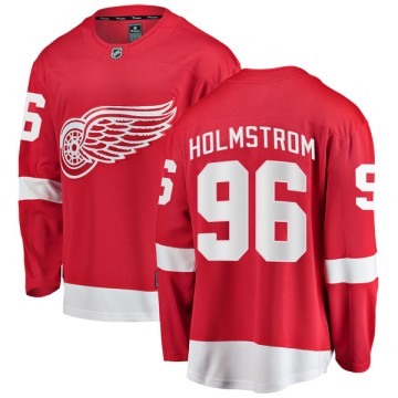Breakaway Fanatics Branded Youth Tomas Holmstrom Detroit Red Wings Home Jersey - Red